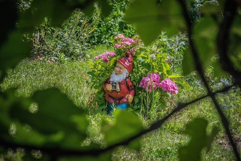 Pixie Paradises